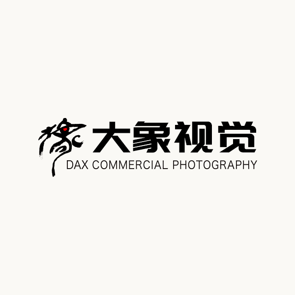 大象视觉 大象视觉