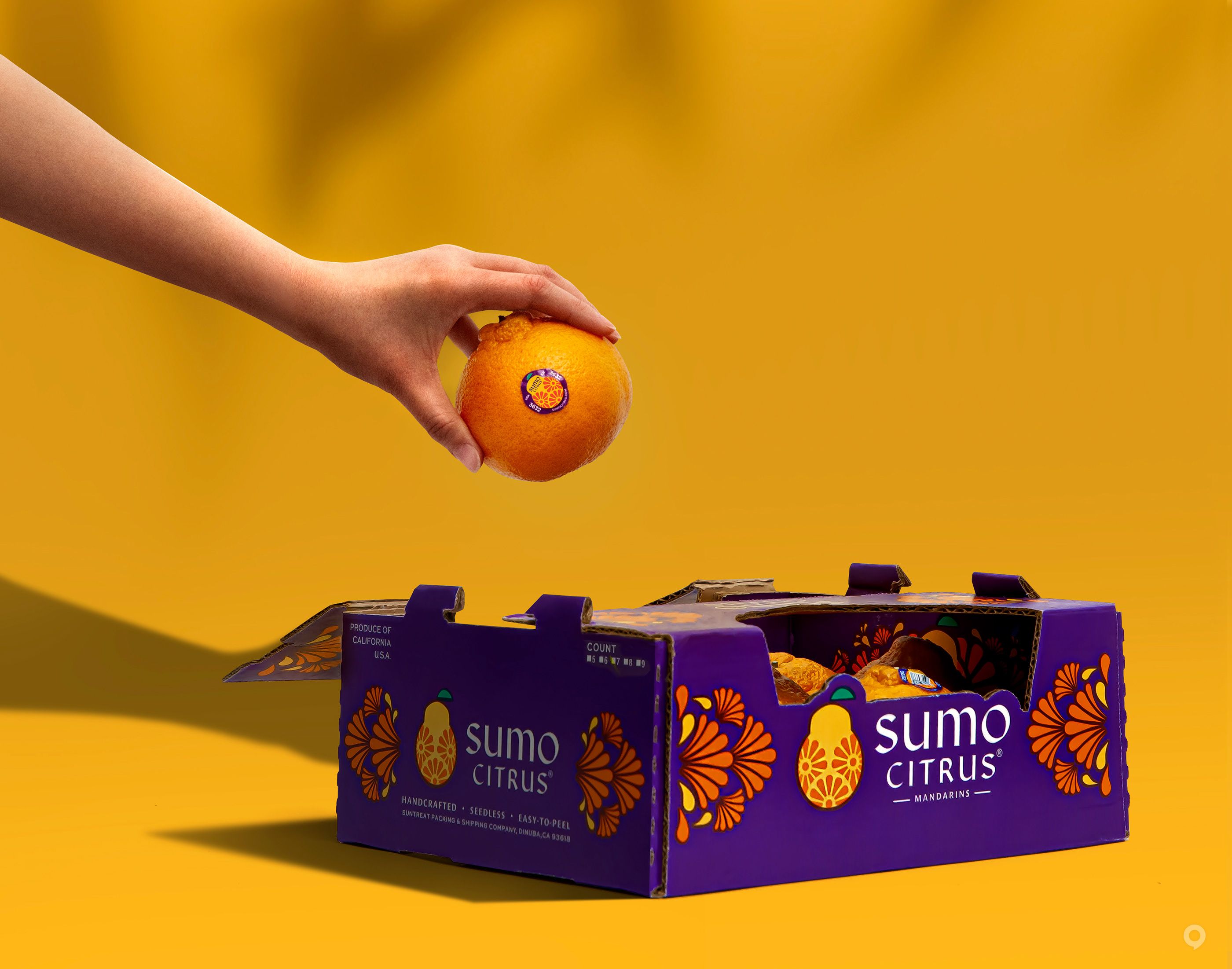 美国Sumo Citrus甜橙包装设计欣赏(图6)