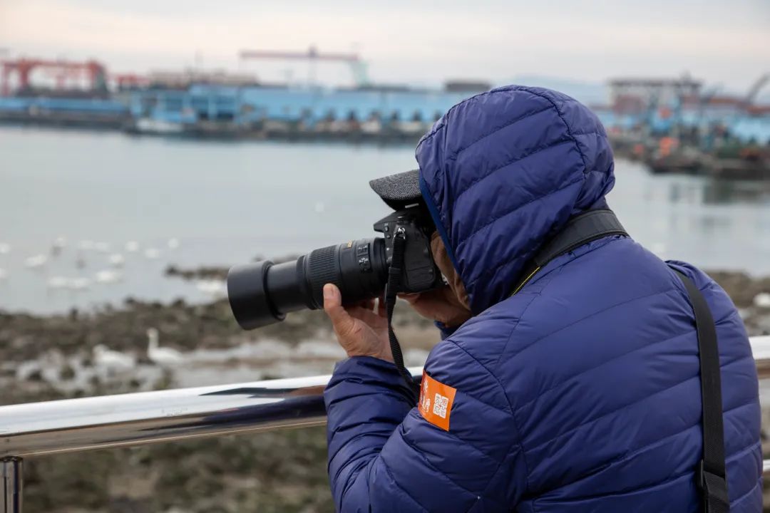 爱莲湾活动回顾 | 追寻天鹅之美(图6) 爱莲湾活动回顾 | 追寻天鹅之美(图6)