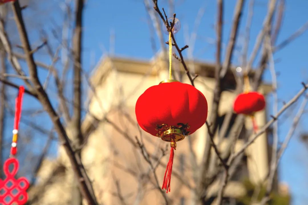 爱莲湾活动回顾 | 年货大采办(图11) 爱莲湾活动回顾 | 年货大采办(图11)